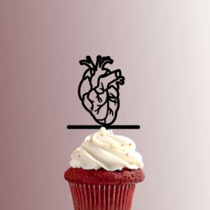 Heart Anatomy 228-525 Cupcake Topper