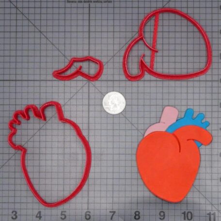 Heart Anatomical Structure 266-I397 Cookie Cutter Set