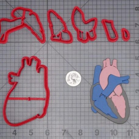 Heart Circulation Diagram 266-J034 Cookie Cutter Set